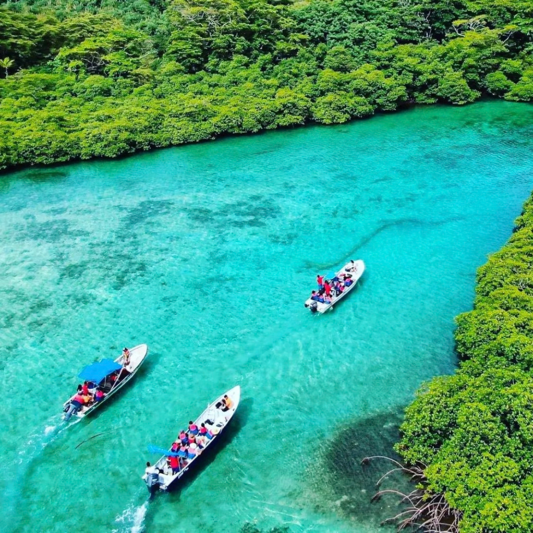 🇵🇦 Tour de Fiestas Patrias a Venas Azules + Pasadía en Playa Blanca Opción con Transporte desde $15 en Ally's Tours
