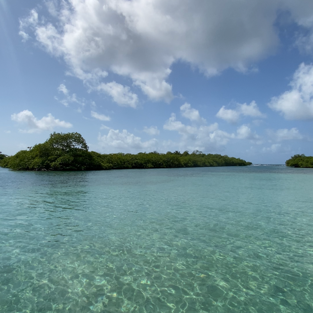🇵🇦 Tour de Fiestas Patrias a Venas Azules + Pasadía en Playa Blanca Opción con Transporte desde $15 en Ally's Tours