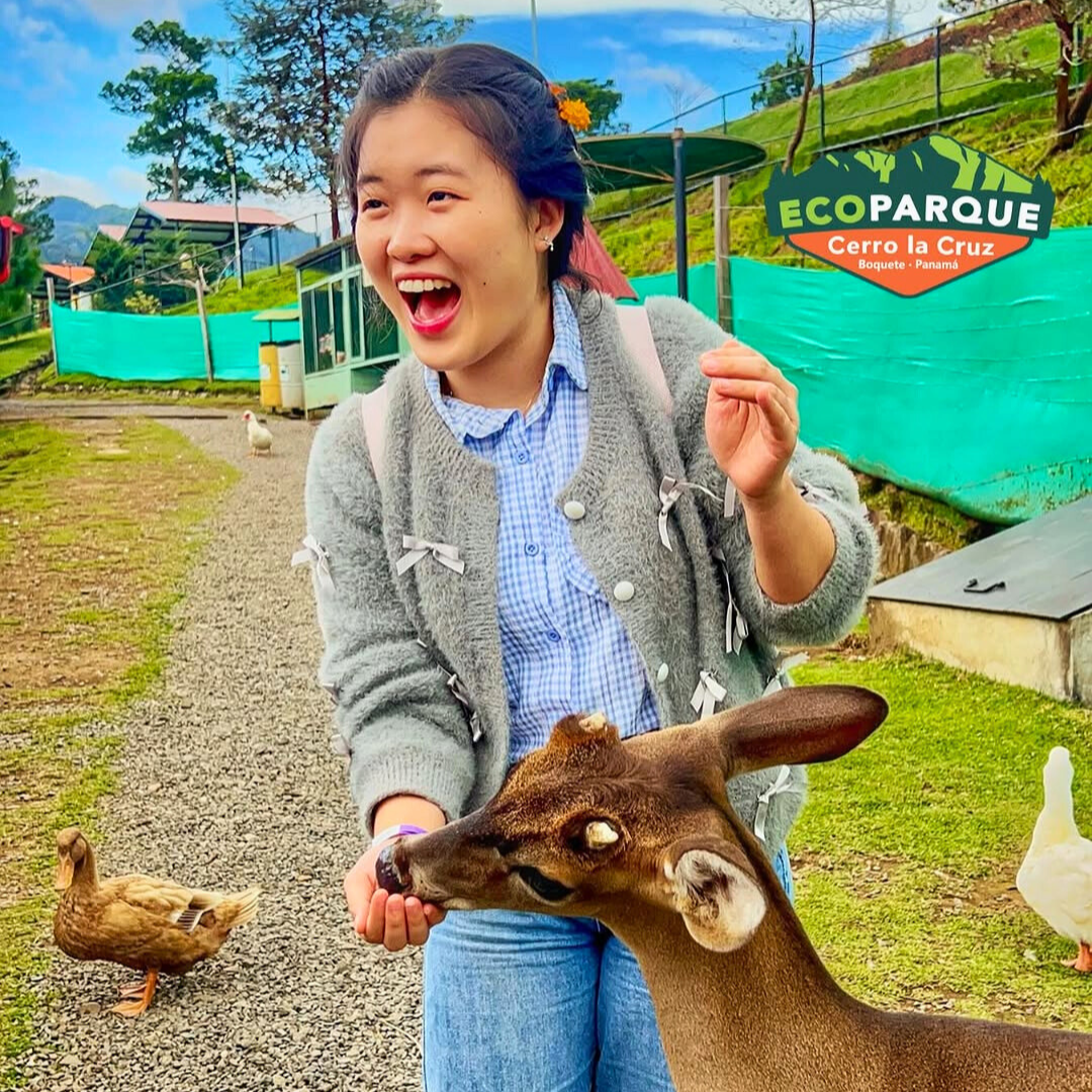 Pasadía en el Parque Ecológico Más Grande y Divertido de Chiriquí desde $15 en Ecoparque Cerro La Cruz