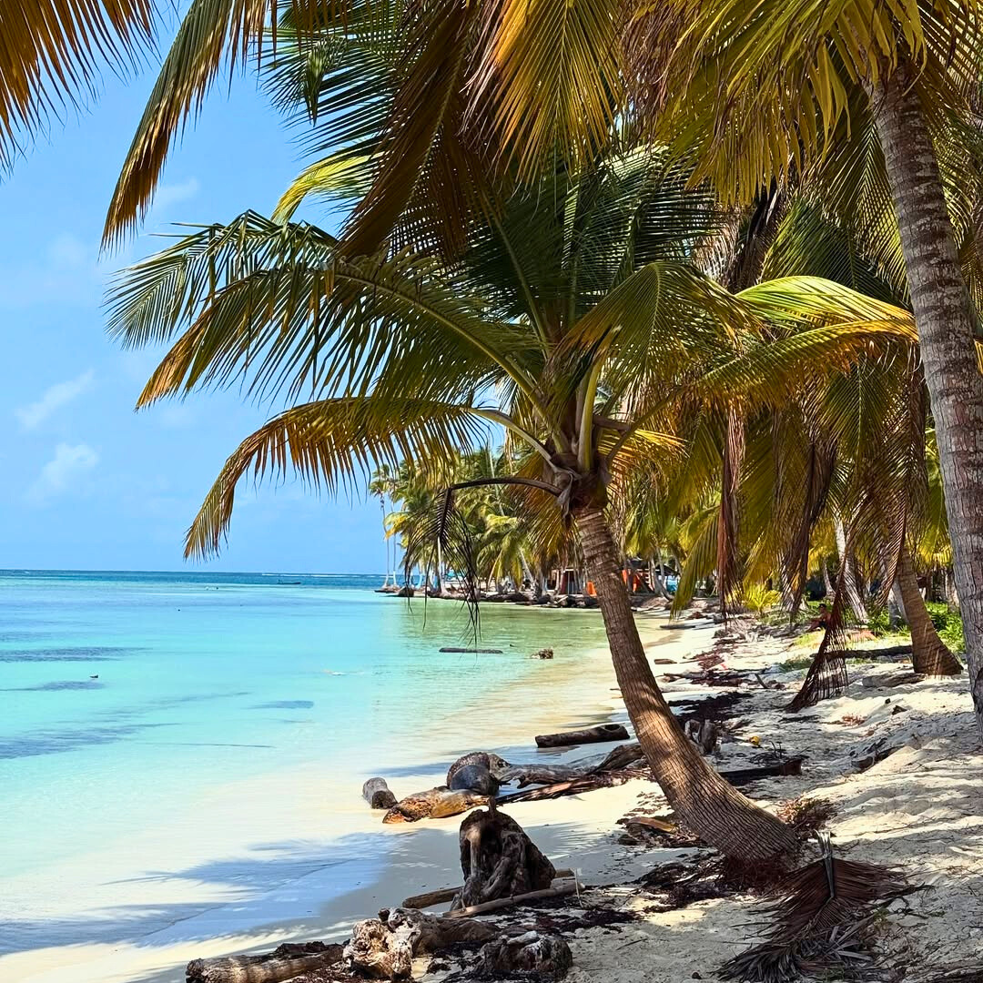 Tour de Islas en San Blas + Almuerzo con Bebida + Uso de Snorkel por $36 con San Blas Trips