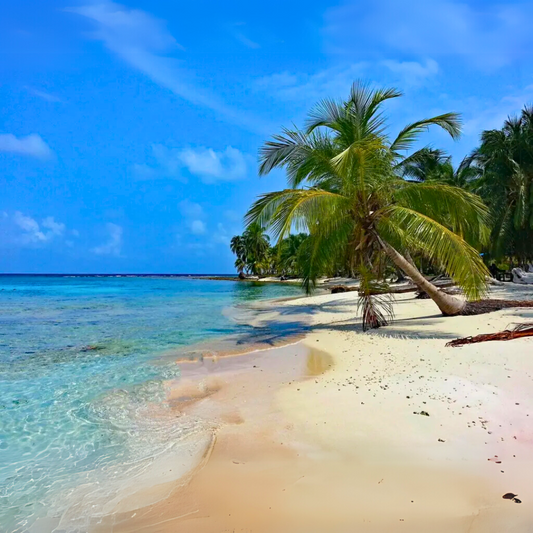 Pasadía en Isla Grande con Traslado + Almuerzo Completo + Bebida por $12 en El Bucanero