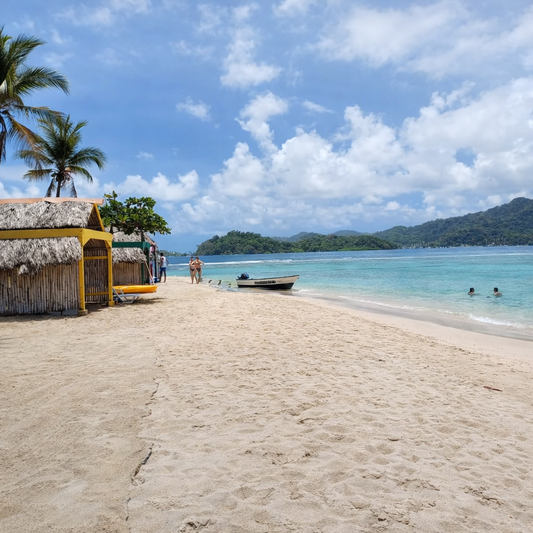 Tour Completo a Isla Mamey por $20 con Townsley Tour