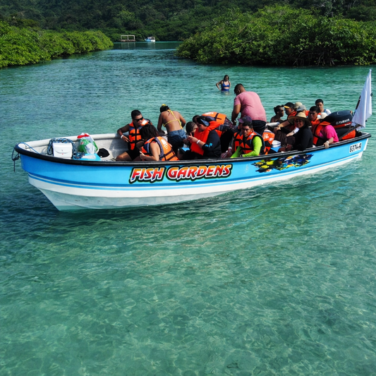 Tour a Venas Azules + Pasadía en Playa Blanca por $20 con Townsley Tour