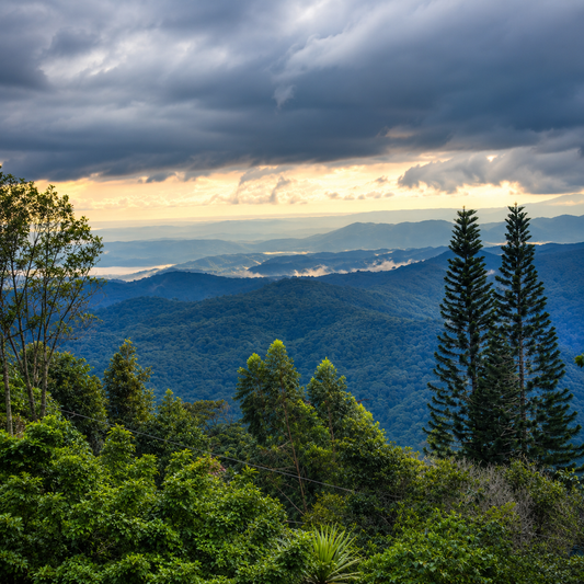 Escápate a Cerro Azul + 2 Desayunos + Piscina Climatizada y Zipline para 2 personas por $39.95 en Hacienda Mi Montañita