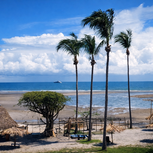 Pasadía en Club de Playa y Rio + Almuerzo y Bebida por $12 en la Perla del Pacifico