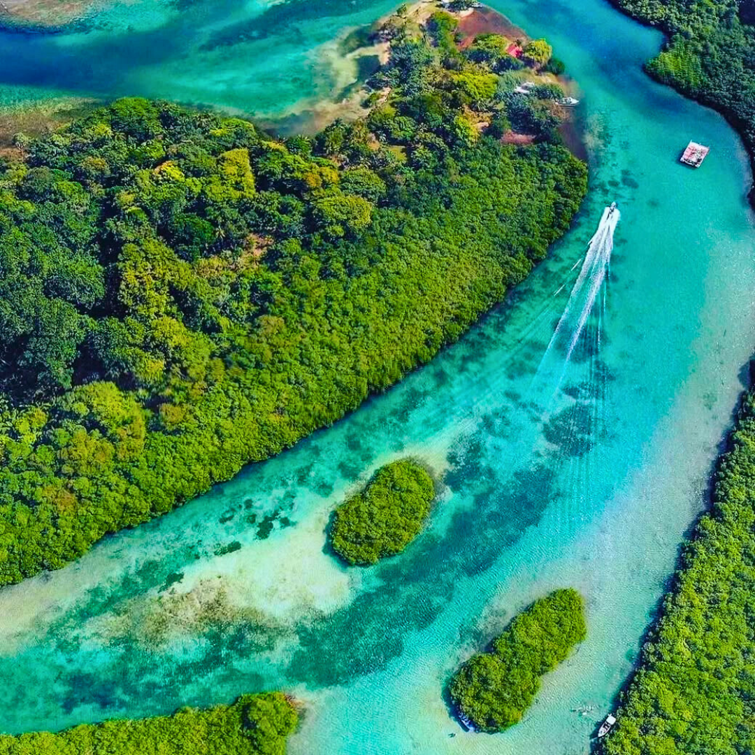 🇵🇦 Tour de Fiestas Patrias a Venas Azules + Pasadía en Playa Blanca Opción con Transporte desde $15 en Ally's Tours