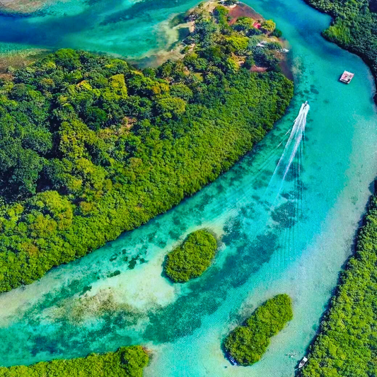 🇵🇦 Tour de Fiestas Patrias a Venas Azules + Pasadía en Playa Blanca Opción con Transporte desde $15 en Ally's Tours