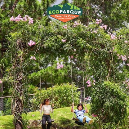 Pasadía de Fiestas Patrias 🇵🇦 en el Parque Ecológico Más Grande y Divertido de Chiriquí desde $15 en Ecoparque Cerro La Cruz