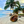 Tour de Islas en San Blas + Almuerzo con Bebida + Snorkel por solo $36 con San Blas Trips