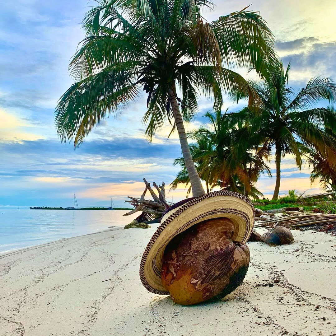 Tour de Islas en San Blas + Almuerzo con Bebida + Uso de Kayak por $35 con San Blas Trips