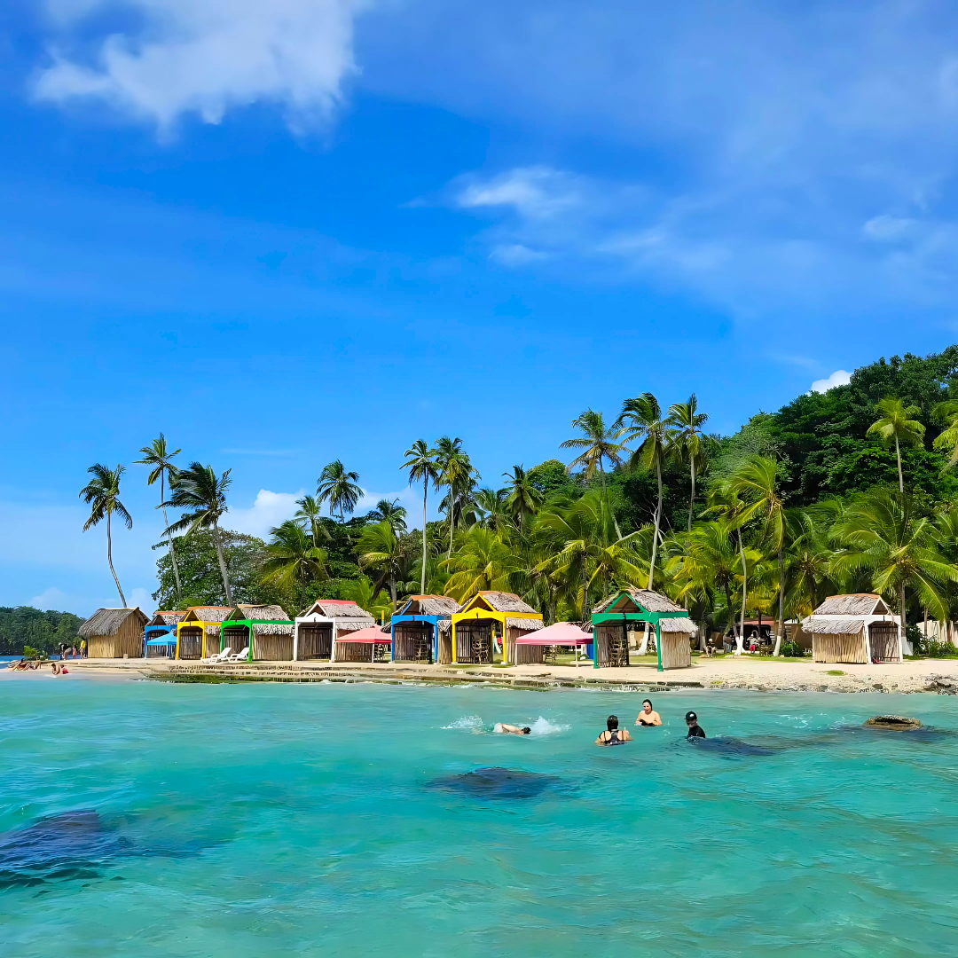 Pasadía en Isla Mamey + 4 Ceviches + 4 Cervezas para 4 personas por $45 con Ally's Tours