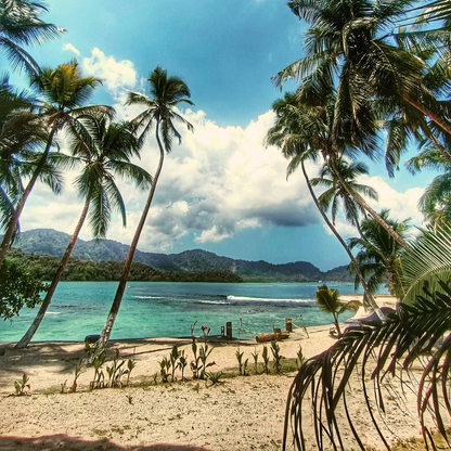 Pasadía en Isla Grande con Traslado + Almuerzo Completo + Bebida por $10.99 en El Bucanero
