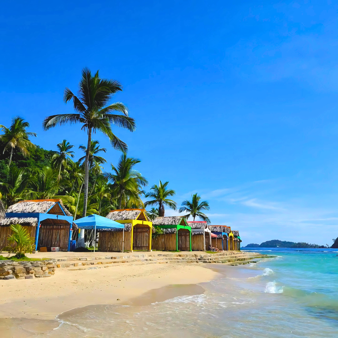 Pasadía en Isla Mamey + 4 Ceviches + 4 Cervezas para 4 personas por $45 con Ally's Tours