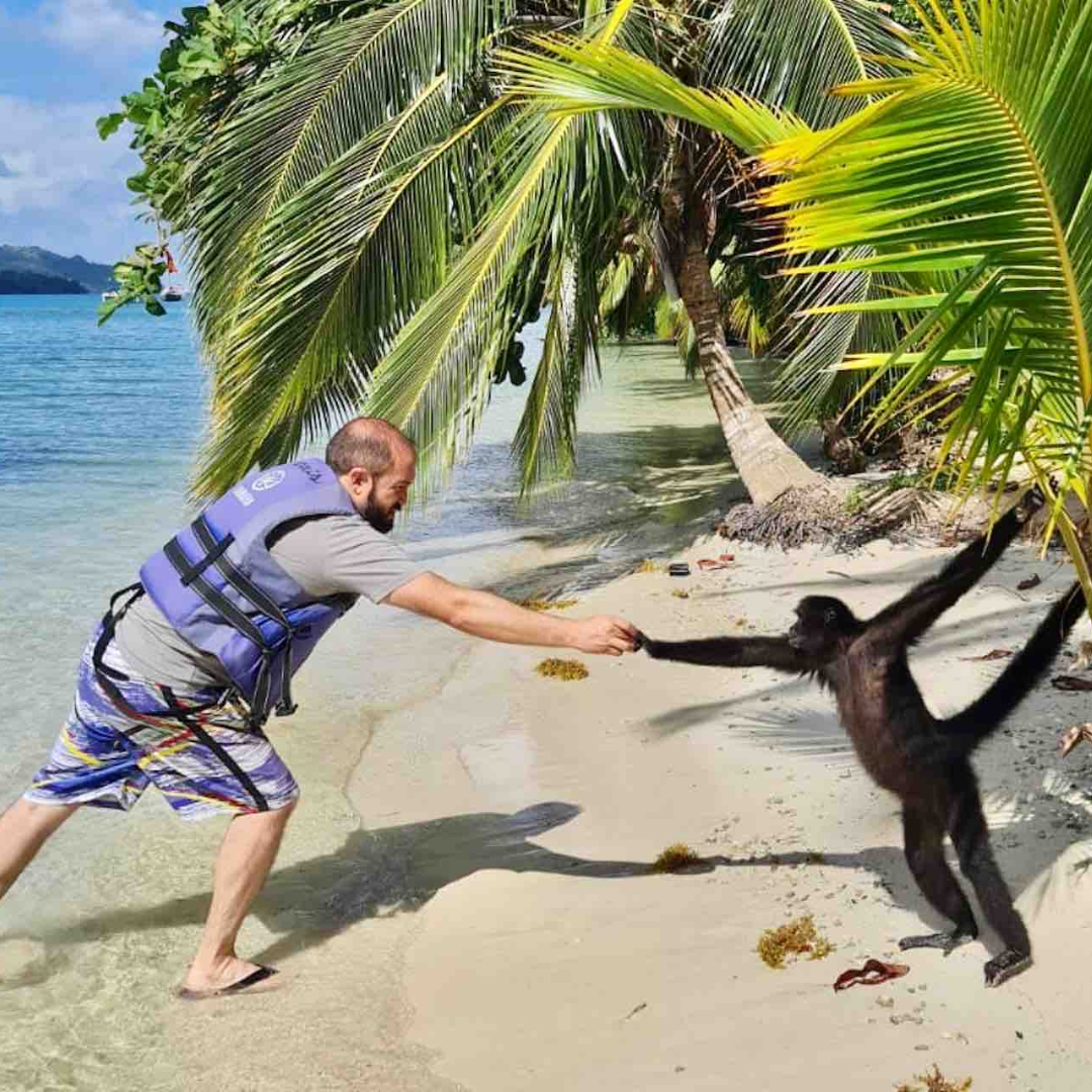 Pasadía en Isla Mamey + 4 Ceviches + 4 Cervezas para 4 personas por $45 con Ally's Tours