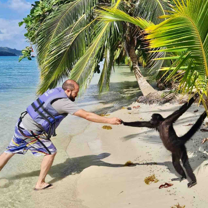 Pasadía en Isla Mamey + 4 Ceviches + 4 Cervezas para 4 personas por $45 con Ally's Tours