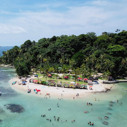 Pasadía en Isla Mamey + 4 Ceviches + 4 Cervezas para 4 personas por $45 con Ally's Tours