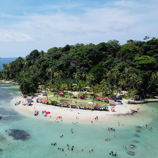 Pasadía en Isla Mamey + 4 Ceviches + 4 Cervezas para 4 personas por $45 con Ally's Tours