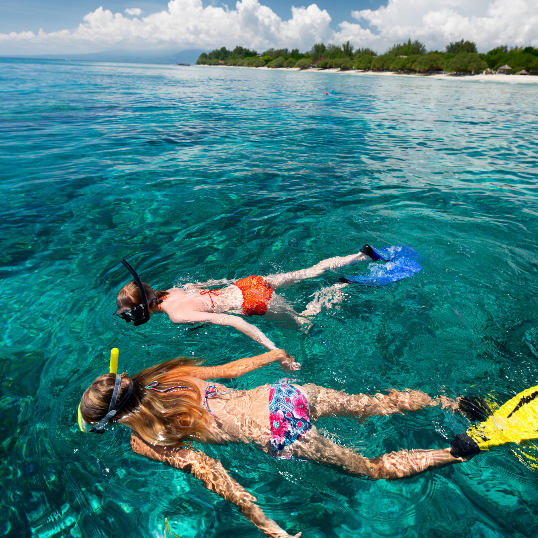 Tour de Snorkel con Guía + Paseo en Bote + Almuerzo Incluido por $35 en Scuba Portobelo