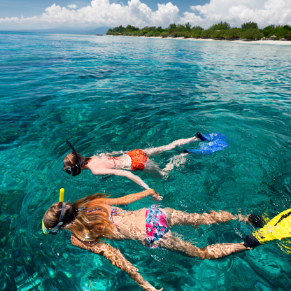 Tour de Snorkel con Guía + Paseo en Bote + Almuerzo Incluido por $35 en Scuba Portobelo