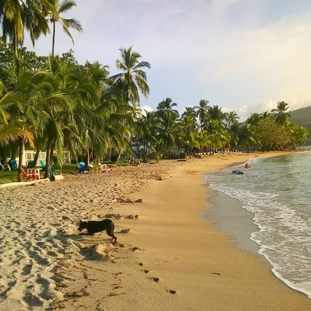 Tour de Islas + 2 Canastas de Deditos de Pescado con Patacones + 4 Cervezas para 4 personas por $40 en El Bucanero