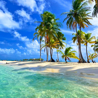 Tour de Islas en San Blas + Almuerzo con Bebida + Uso de Kayak por $35 con San Blas Trips