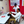 Curso de Manejo Completo + Certificado + Examen Médico y Material de Estudio por $160 en American Driver Center