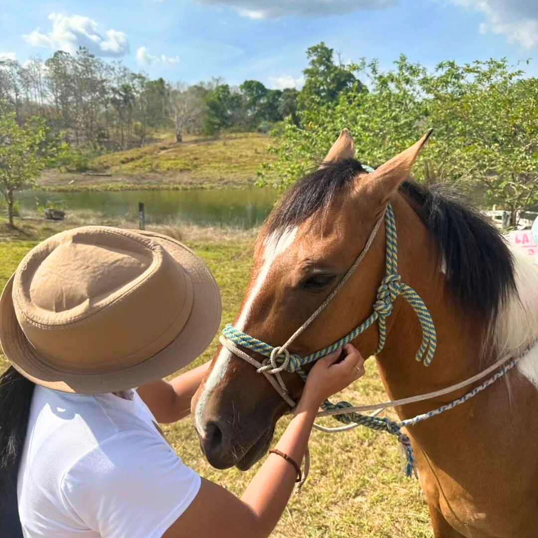 2x1 al Parque de Aventuras: Canopy, Kayak, Senderos y Más desde $25 en Bayano Adventure Park