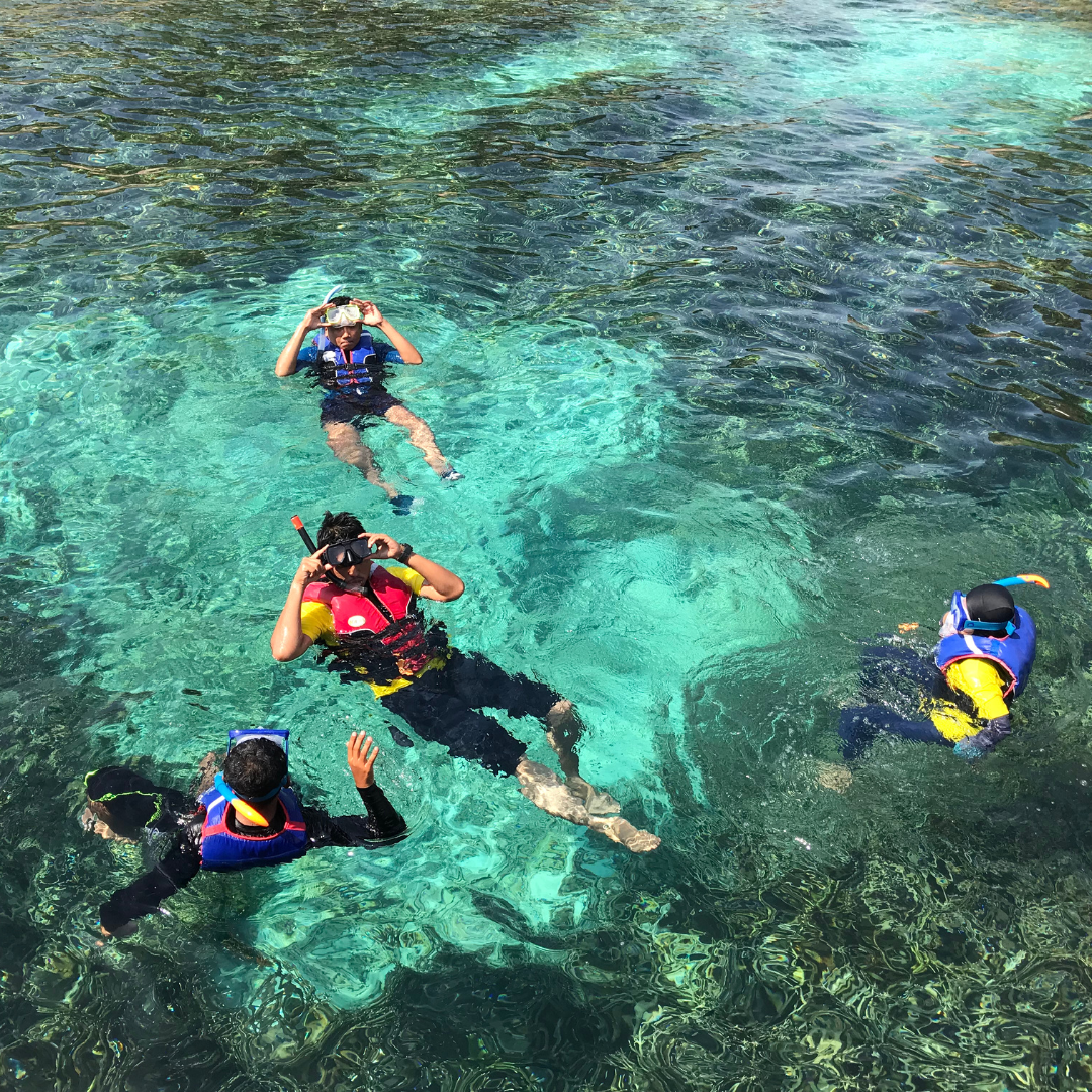 Tour de Snorkel con Guía + Paseo en Bote + Almuerzo Incluido por $35 en Scuba Portobelo