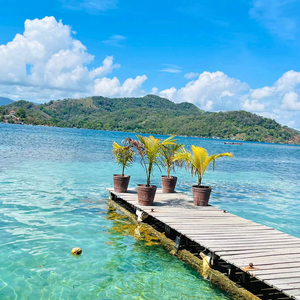 Pasadía de Playa + Almuerzo con Bebida + Traslado de Lancha por $28 en el Hotel Cocotal Isla Grande