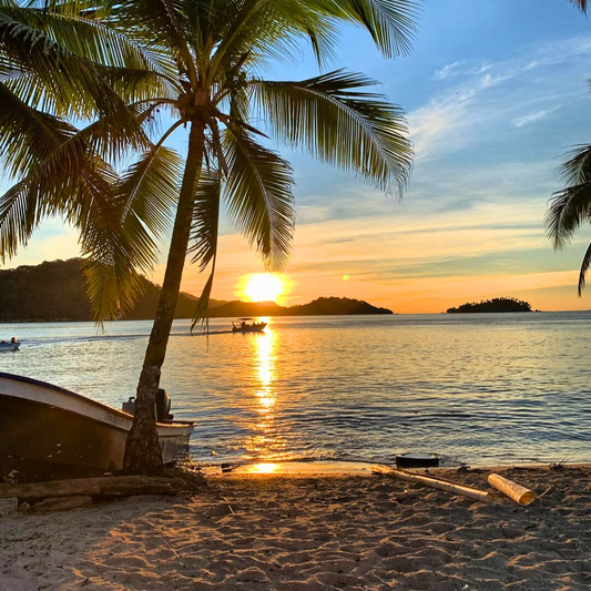 Pasadía en Isla Grande con Traslado + Almuerzo Completo + Bebida por $12 en El Bucanero