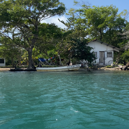 Tour Completo a Venas Azules + Pasadía en Playa Blanca por $15 en Ally's Tours