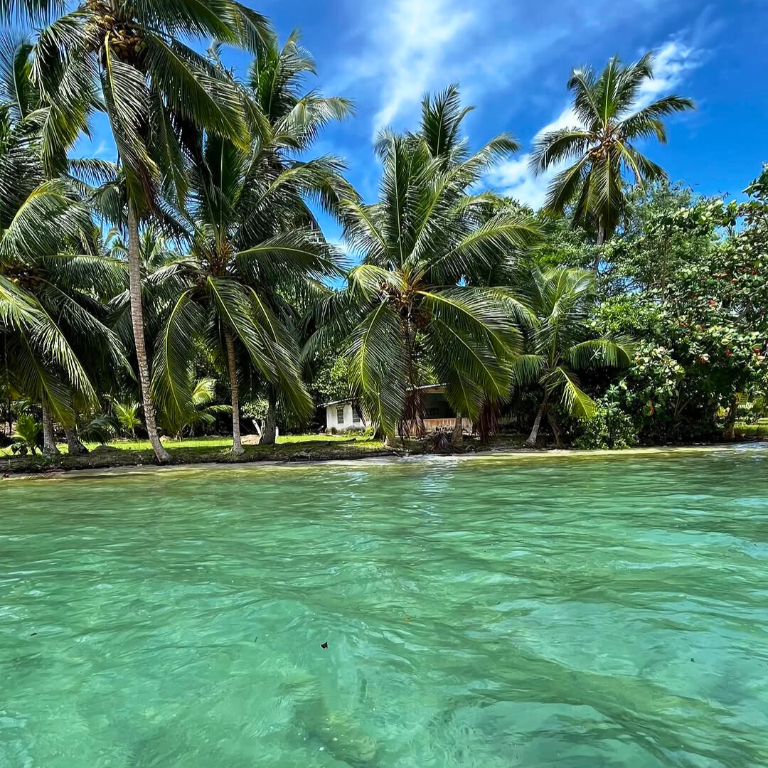 Tour de Islas + 2 Canastas de Deditos de Pescado con Patacones + 4 Cervezas para 4 personas por $40 en El Bucanero