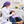Limpieza Dental + Evaluación + Pulido Dental + Aplicación de Flúor + 25%Off en Ortodoncia