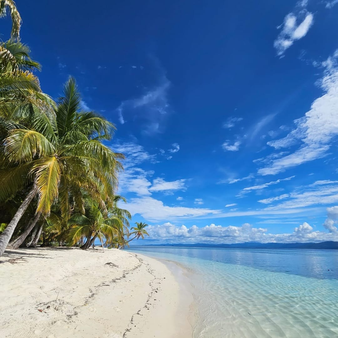 Pasadía en San Blas + Tour + Almuerzo y Bebida por $35 + Opción con Transporte Incluido por $100 con An Nabba San Blas