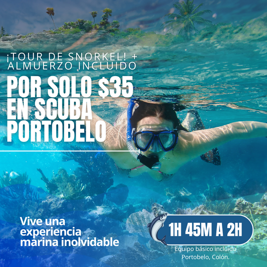 Tour de Snorkel con Guía + Paseo en Bote + Almuerzo Incluido por $35 en Scuba Portobelo