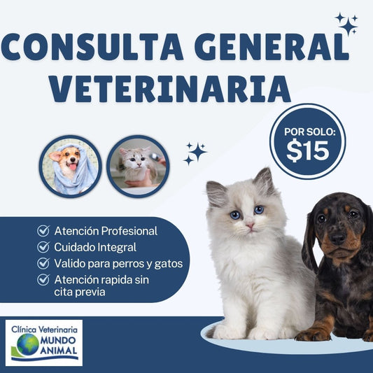 Consulta Veterinaria General por solo $12.50 en Mundo Animal Betania