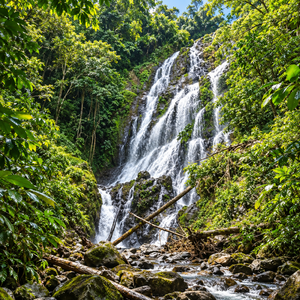 Full Day en El Valle de Antón + Tour por 5 Atracciones + Transporte y Almuerzo