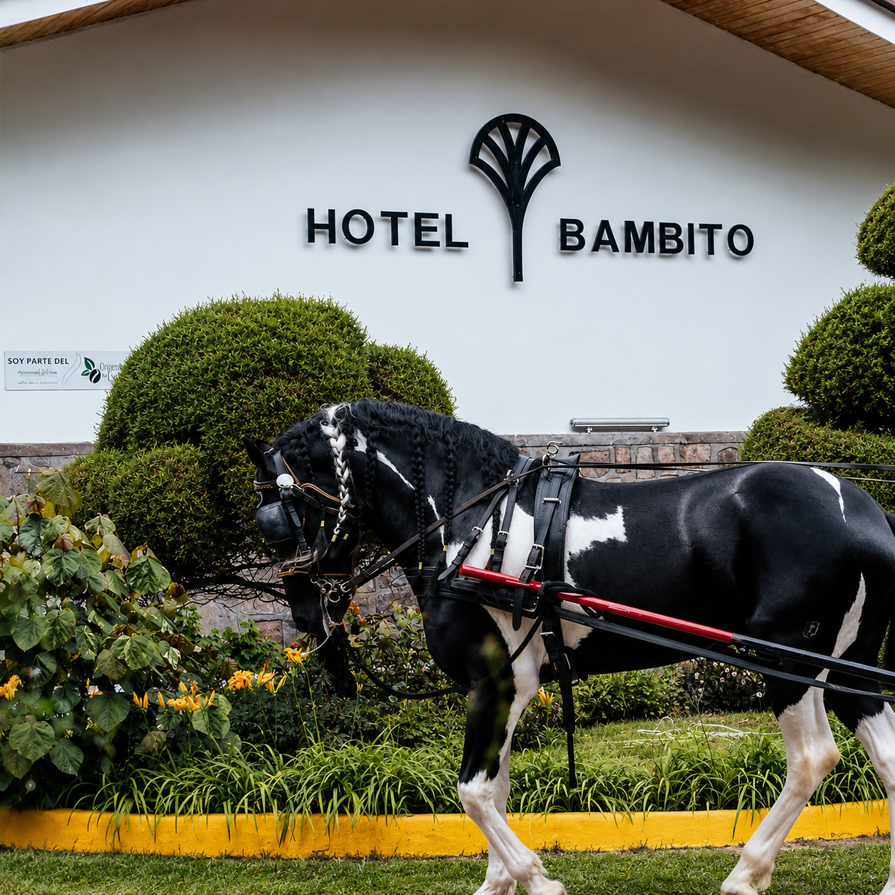 Escápate a la Naturaleza para 10 personas por solo $450 la noche en Hotel Bambito Residence