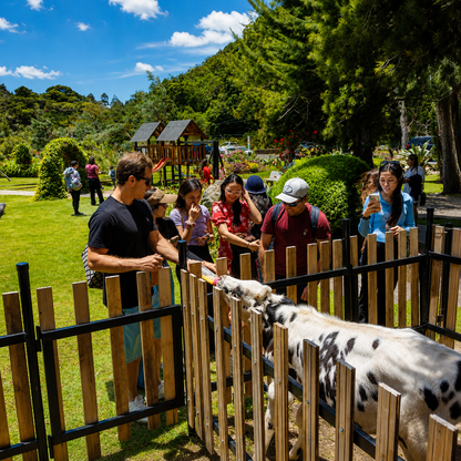 Escápate a la Naturaleza para 10 personas por solo $450 la noche en Hotel Bambito Residence