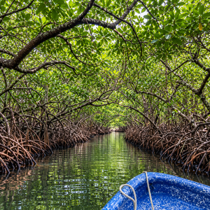 Pasadía en Isla Mamey + Tour de Islas + Piscina Natural por $15 con Rancho del Bucanero