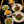 2 Platos de Carne Ribe Eye o Punta Palomilla con Ensalada y Acompañamiento + 2 Bebidas por $15.99 en Zone Xtreme VIP