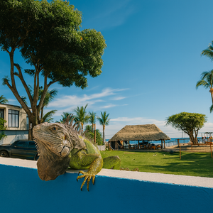 Pasadía de Playa con Almuerzo desde $8 en La Perla del Pacífico