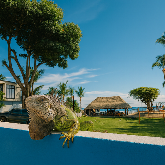 Pasadía en Club de Playa y Rio + Almuerzo y Bebida por $12 en la Perla del Pacifico