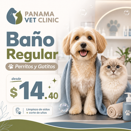 Baño Regular para Perritos y Gatitos con Limpieza de Oídos y Corte de Uñas desde $14.40 en Panamá Vet Clinic