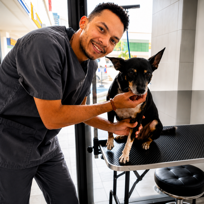 Baño Regular para Perritos y Gatitos con Limpieza de Oídos y Corte de Uñas desde $14.40 en Panamá Vet Clinic