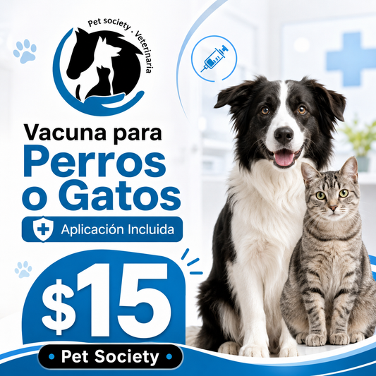 Vacuna para Perros o Gatos con Aplicación Incluida por $15 en Pet Society