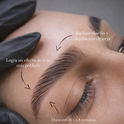 Cejas Perfectas: Laminado + Diseño + Tinte por solo $20 en Dora Contreras Brows