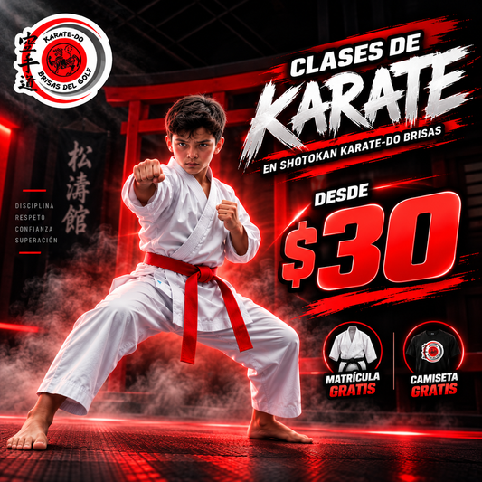 Clases de Karate + Matrícula y Camiseta Gratis desde $30 en Shotokan Karate Do Brisas