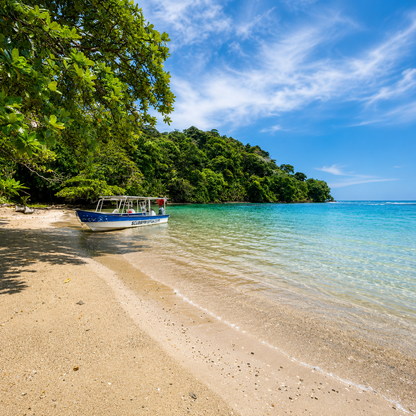 Pasadía en Isla del Tesoro + Almuerzo Incluido por solo $12.50 en Scuba Panamá