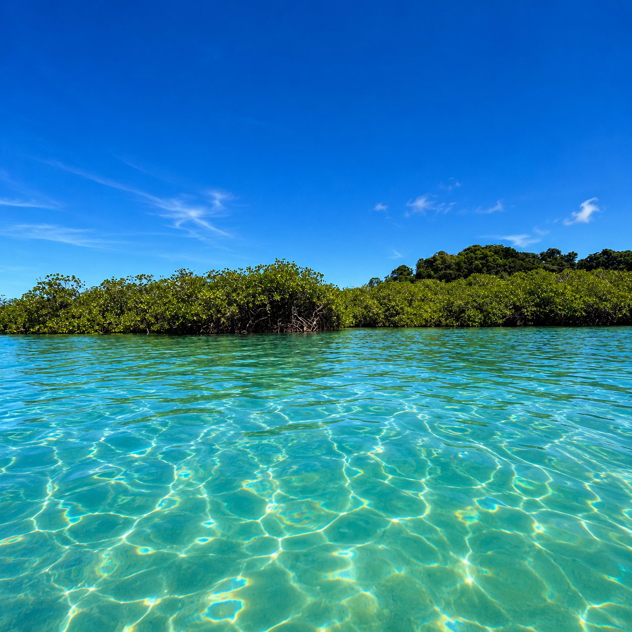 Pasadía en Isla del Tesoro + Almuerzo Incluido por solo $12.50 en Scuba Panamá